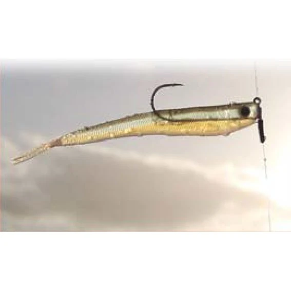 Text
